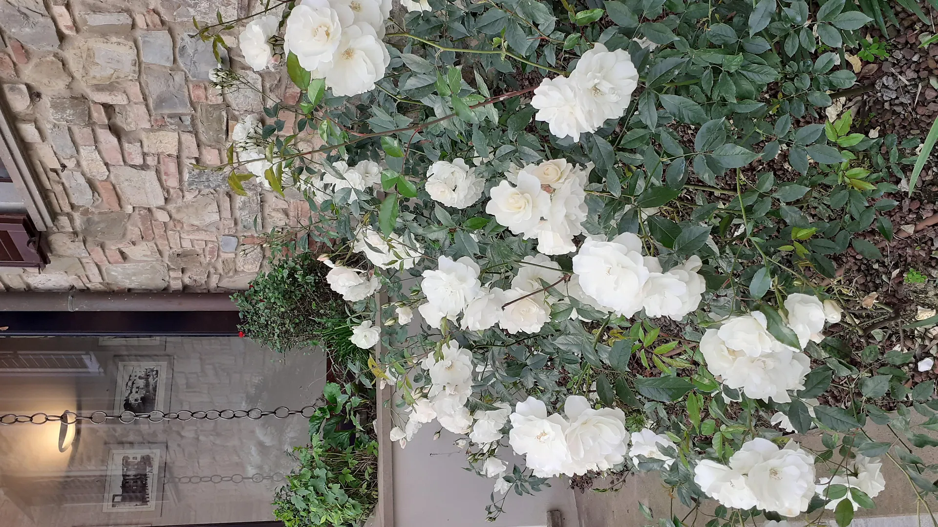 Hotel Le Macine 蒙塔约内 3*,
